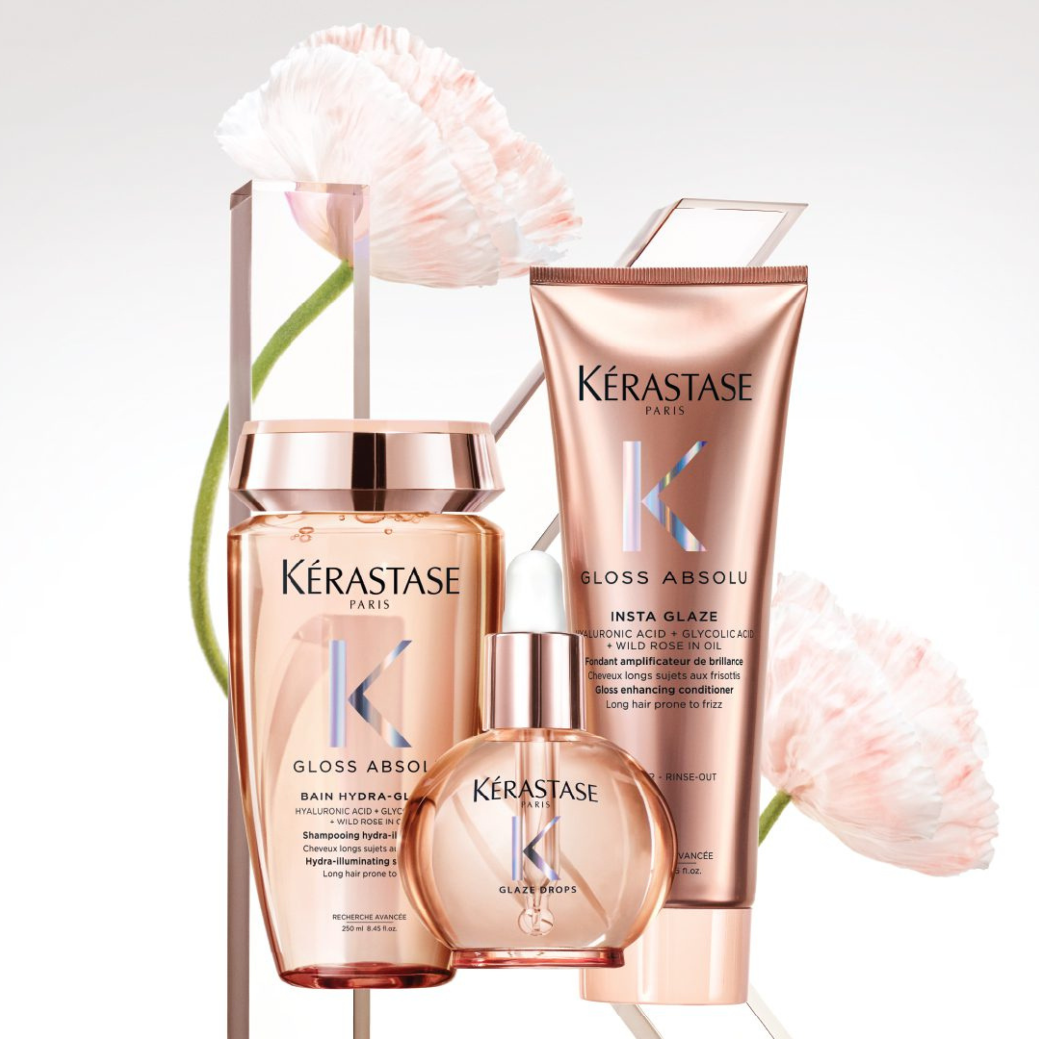 Gloss Absolu