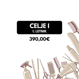 Šolski frizerski komplet - Celje 1 (390,00€)