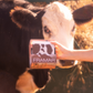 Framar Pop up folija za pramena Yeehaw 12,7 cm x 27,9 cm - 500 lističev